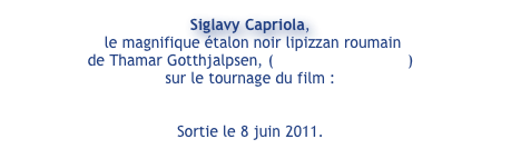Siglavy Capriola,
 le magnifique étalon noir lipizzan roumain
de Thamar Gotthjalpsen, (Thafalonie Stables) 
sur le tournage du film :
Penny's Shadow trailer 

Sortie le 8 juin 2011.