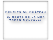 Ecuries du Château
8, route de la mer
76220 Ménerval

federation@lipizzan.fr